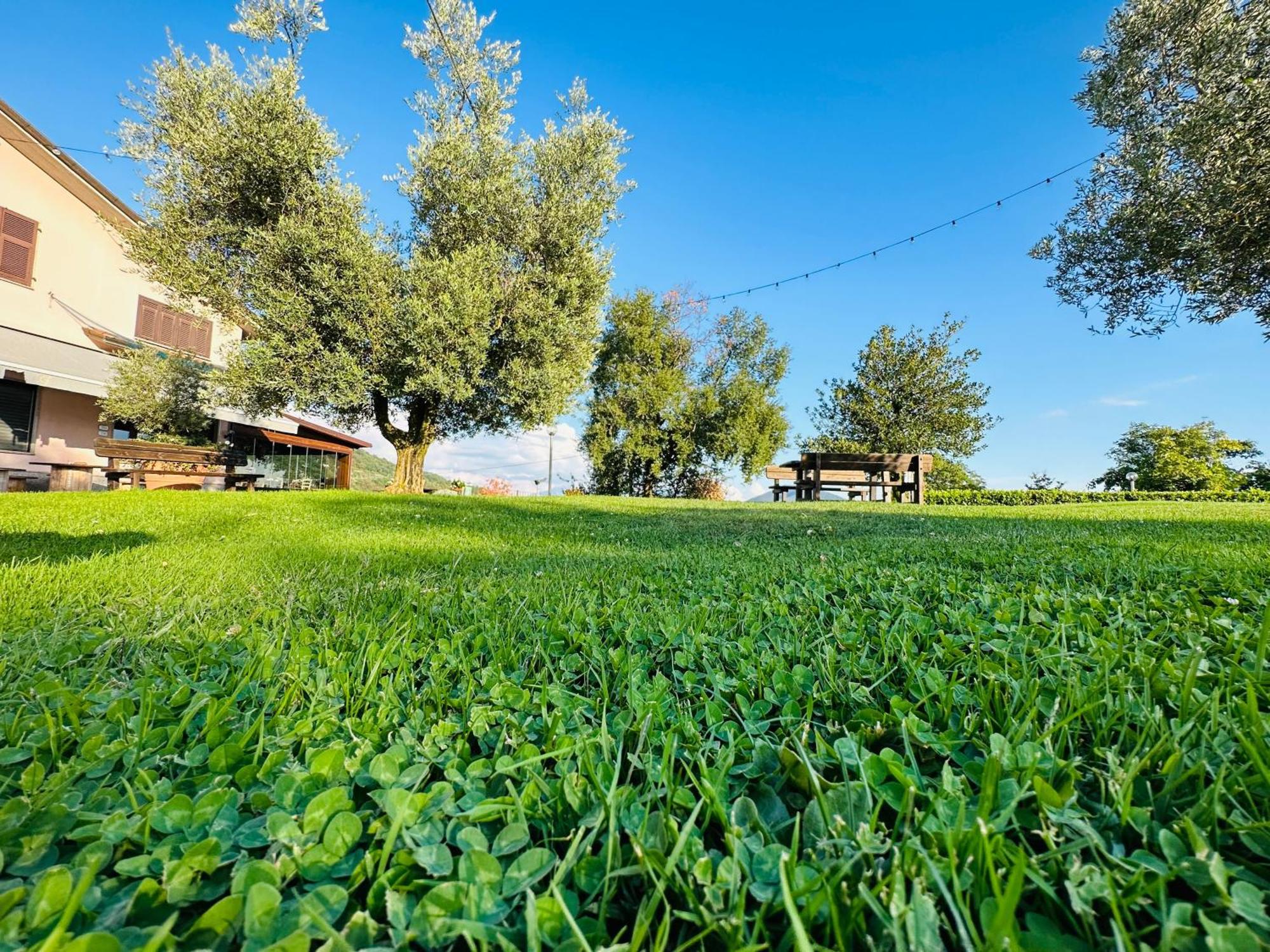 Da Gambin B&B Podenzana Exterior foto